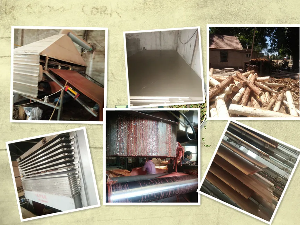1830*2800mm Poplar Plywood for Package
