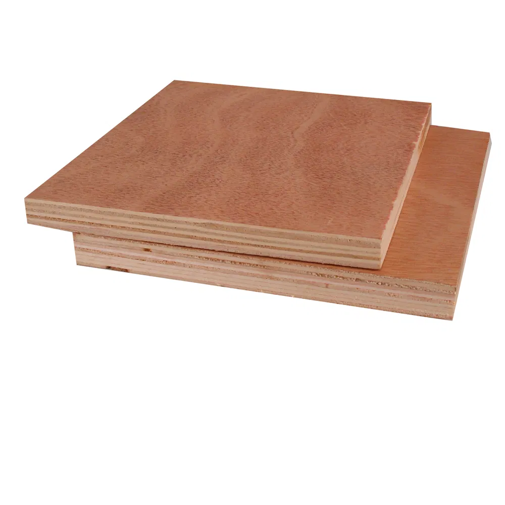 1830*3660 mm Big Size Ordinary Poplar Plywood for Floor