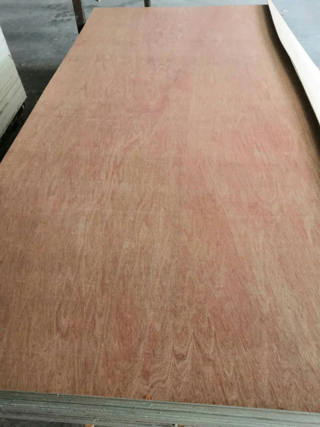 1830*3660 mm Big Size Ordinary Poplar Plywood for Floor