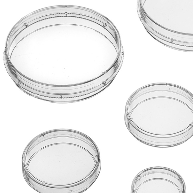 Innovations in Cell Culture Plates: Enhancing Research and Development