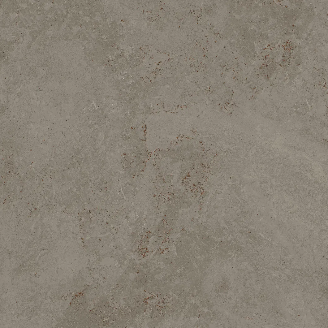 600X600mm 6 Faces Light Brown on Sale Building Material Rustic Porcelain Tiles (WT6203CM)