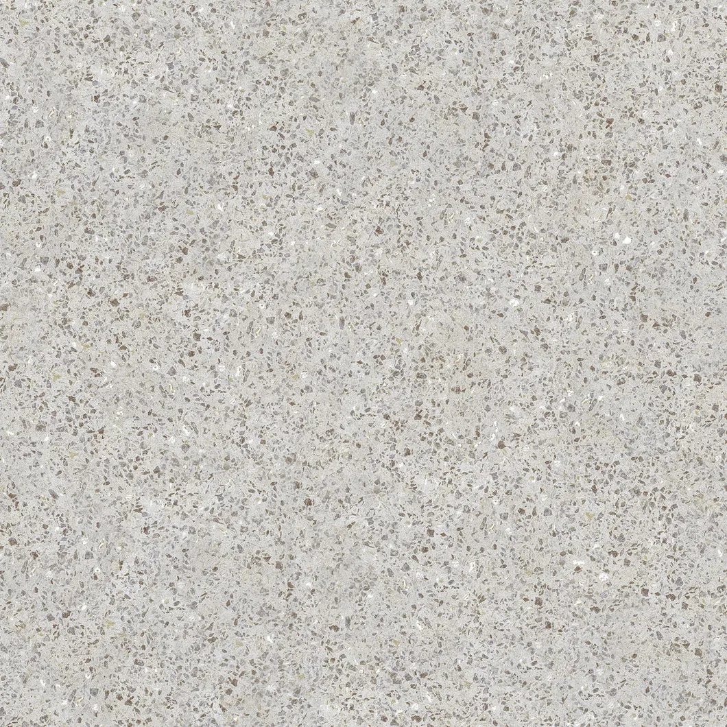 600X600mm Copy Quartz Design on Sale Building Material Rustic Porcelain Tiles (WTZ6602)