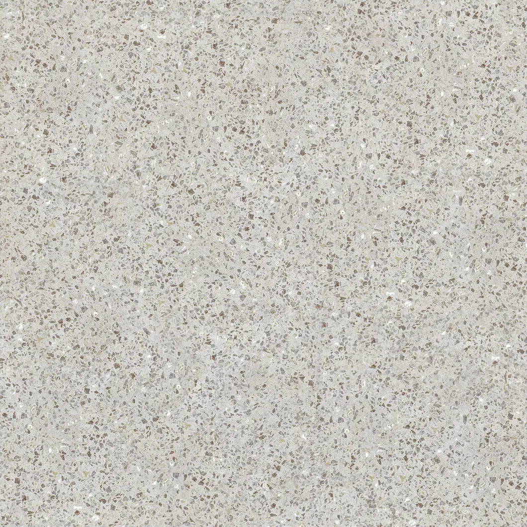 600X600mm Copy Quartz Design on Sale Building Material Rustic Porcelain Tiles (WTZ6602)