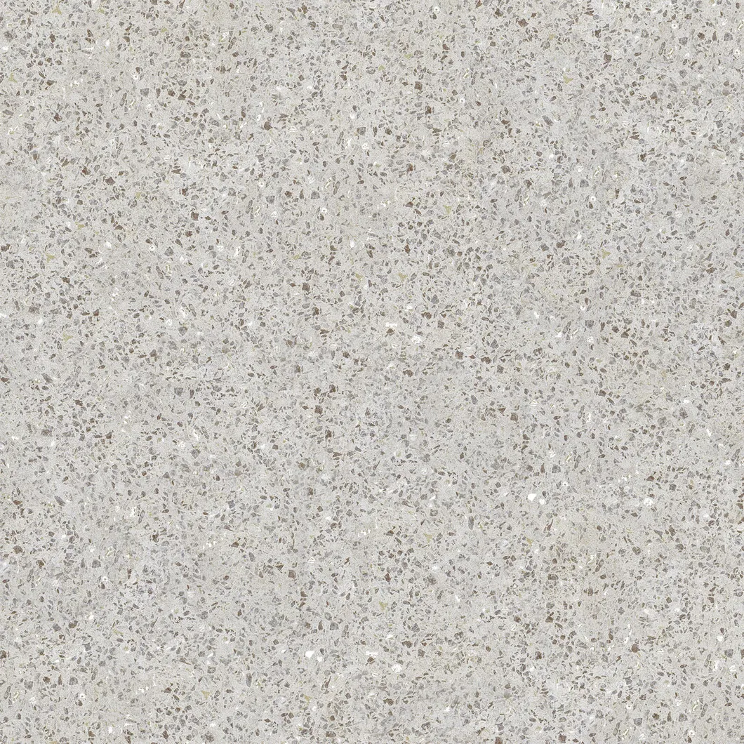 600X600mm Copy Quartz Design on Sale Building Material Rustic Porcelain Tiles (WTZ6602)