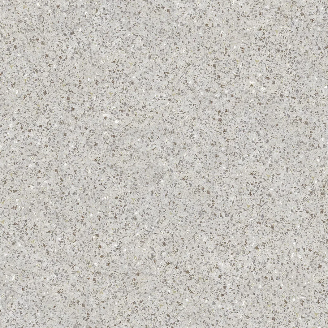 600X600mm Copy Quartz Design on Sale Building Material Rustic Porcelain Tiles (WTZ6602)