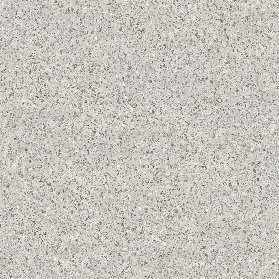 600X600mm Copy Quartz Design on Sale Building Material Rustic Porcelain Tiles (WTZ6602)