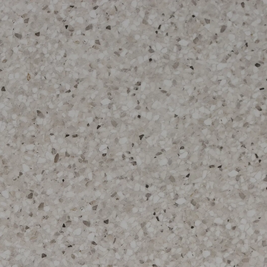 600X600mm Copy Quartz Design on Sale Building Material Rustic Porcelain Tiles (WTZ6602)