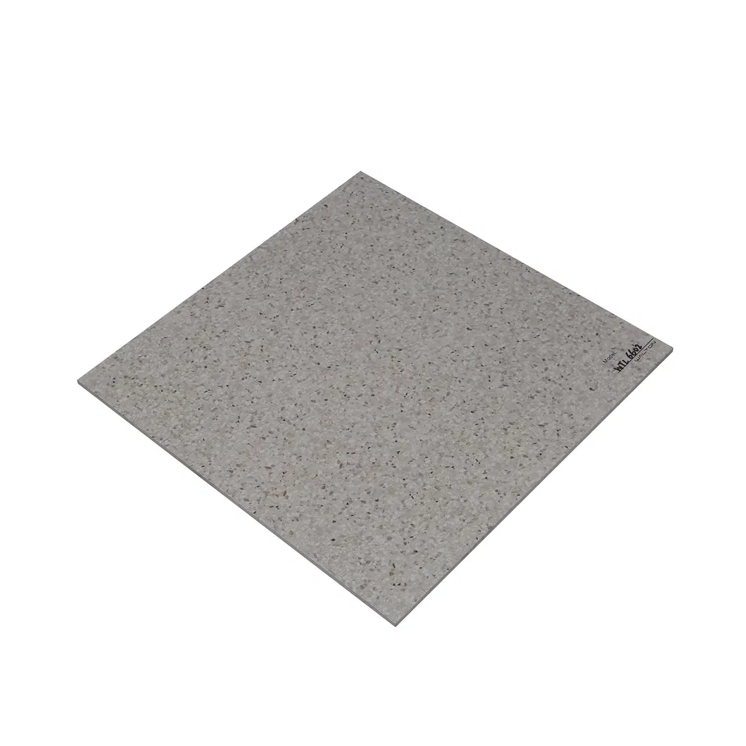 600X600mm Copy Quartz Design on Sale Building Material Rustic Porcelain Tiles (WTZ6602)