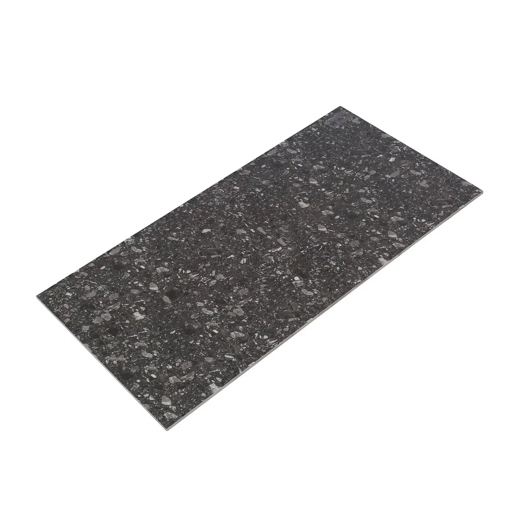 600X600mm Dark Color Stone Design Building Material Rustic Porcelain Tiles (WTZ6603C)
