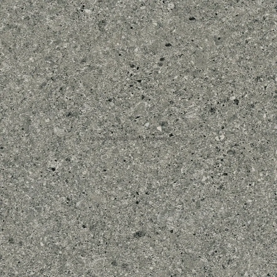 600X600mm Dark Grey on Sale Building Material Dark Color Rustic Porcelain Tiles (YZ611G)