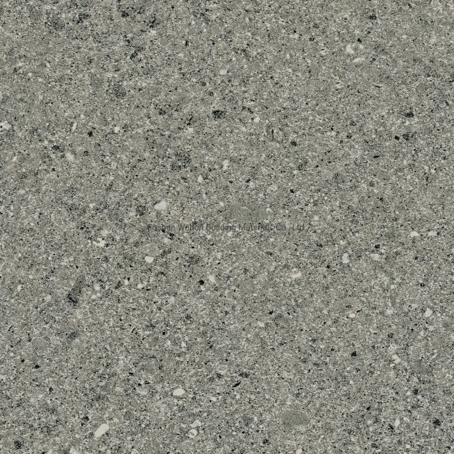 600X600mm Dark Grey on Sale Building Material Dark Color Rustic Porcelain Tiles (YZ611G)