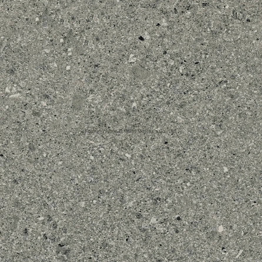 600X600mm Dark Grey on Sale Building Material Dark Color Rustic Porcelain Tiles (YZ611G)