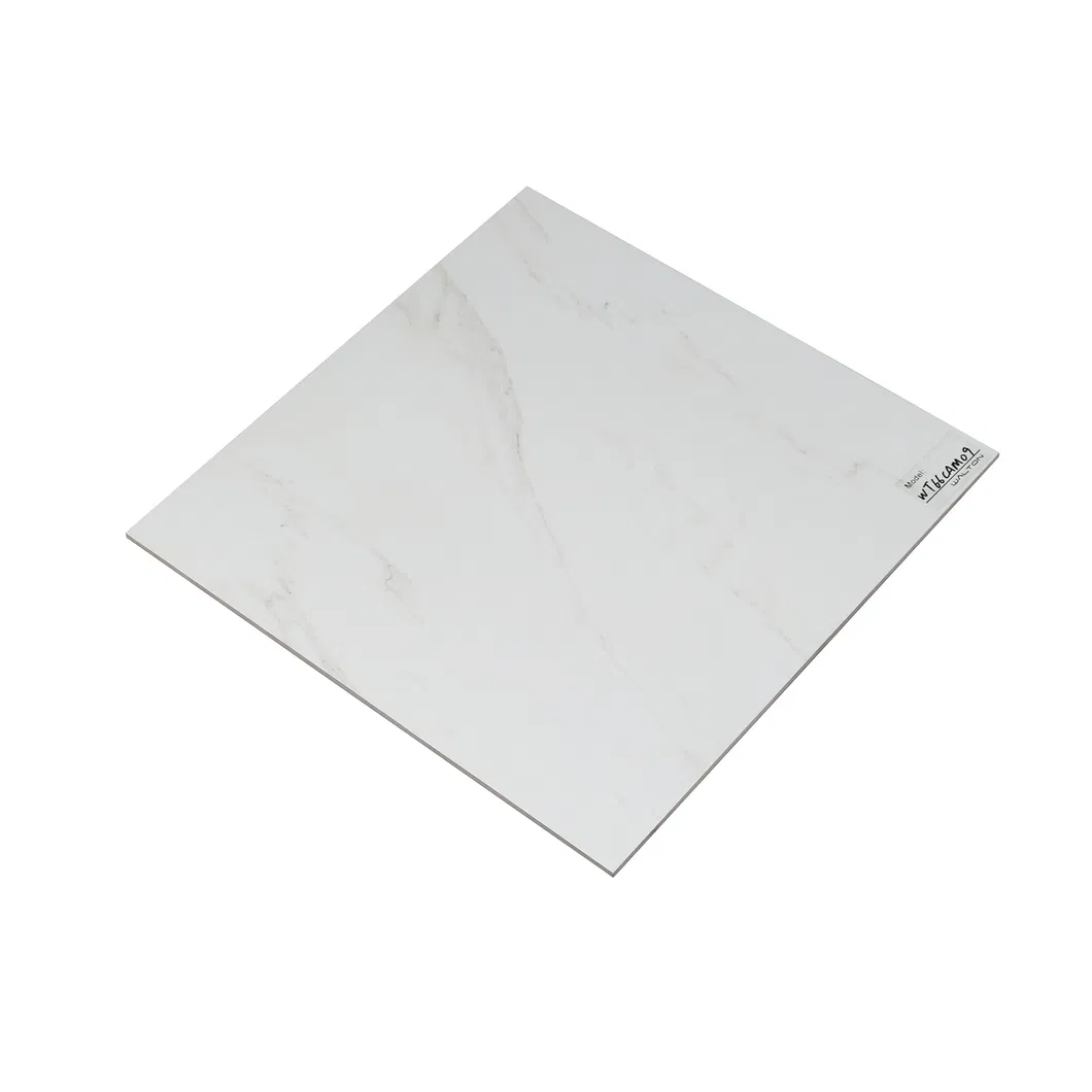 600X600mm on Sale Building Material Rustic Porcelain Tiles (66CAM09)