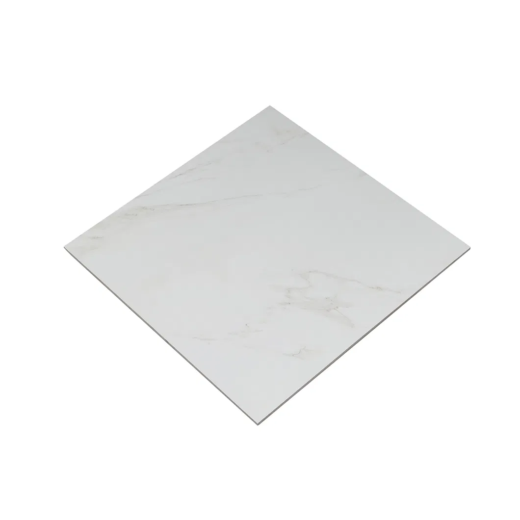 600X600mm on Sale Building Material Rustic Porcelain Tiles (66CAM09)
