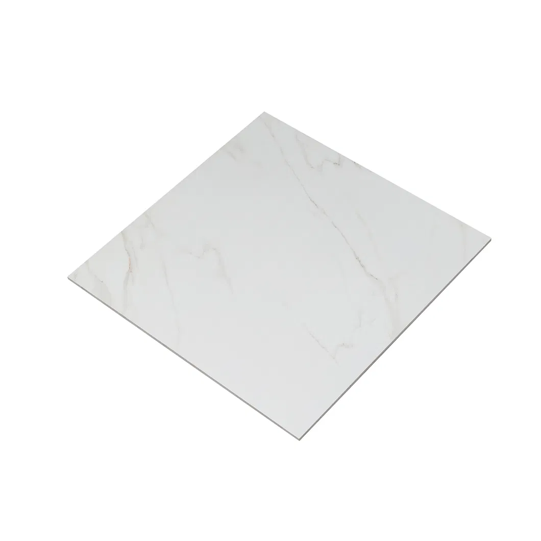 600X600mm on Sale Building Material Rustic Porcelain Tiles (66CAM09)