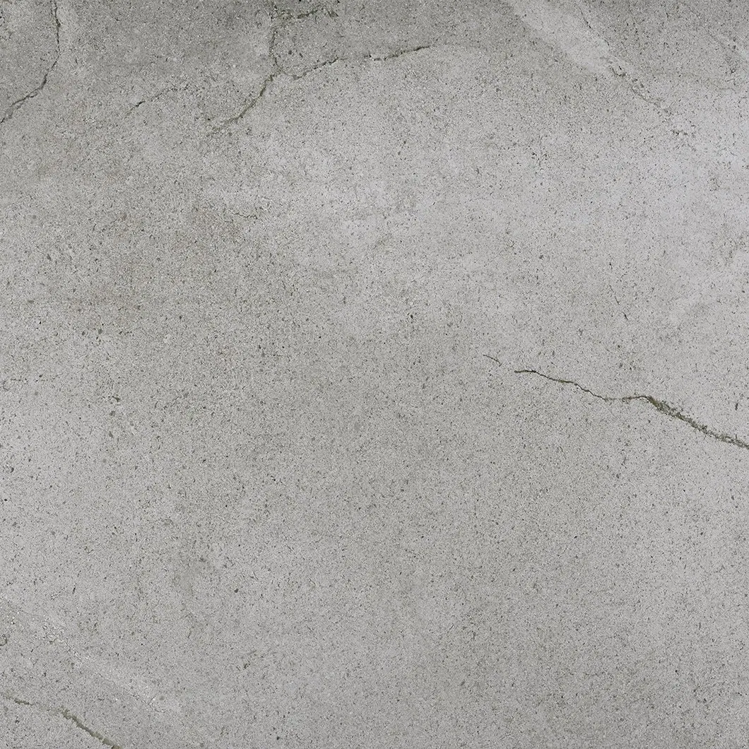 600X600mm on Sale Building Material Rustic Porcelain Tiles Floor Tile (WT2019-6C)