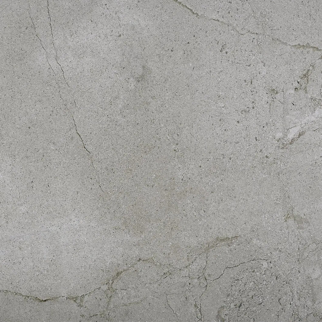 600X600mm on Sale Building Material Rustic Porcelain Tiles Floor Tile (WT2019-6C)