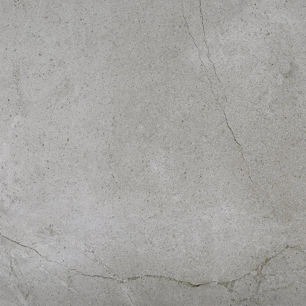 600X600mm on Sale Building Material Rustic Porcelain Tiles Floor Tile (WT2019-6C)