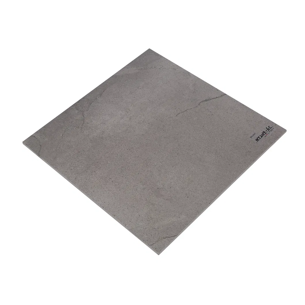 600X600mm on Sale Building Material Rustic Porcelain Tiles Floor Tile (WT2019-6C)