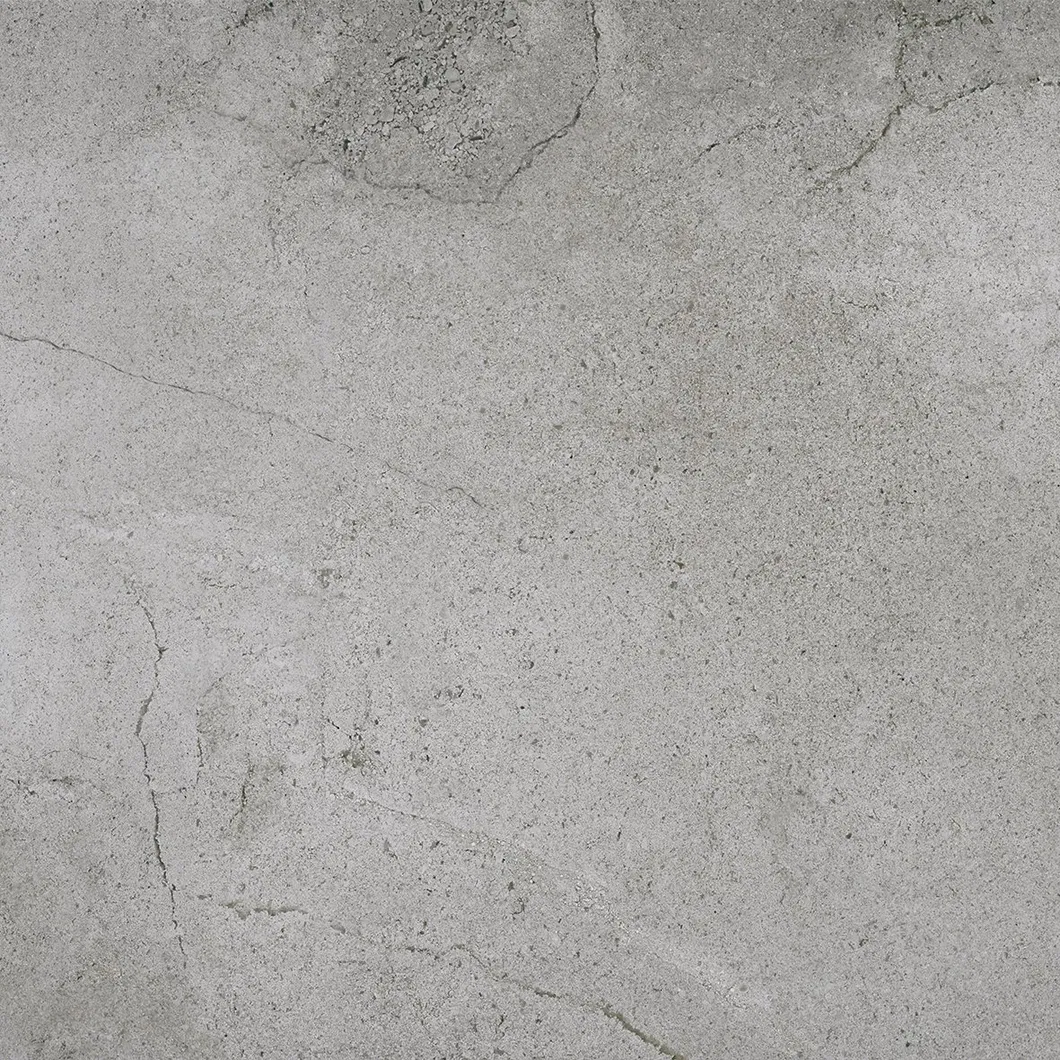 600X600mm on Sale Building Material Rustic Porcelain Tiles Floor Tile (WT2019-6C)