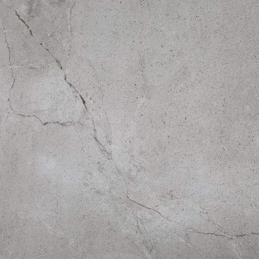 600X600mm on Sale Building Material Rustic Porcelain Tiles Floor Tile (WT2019-6C)