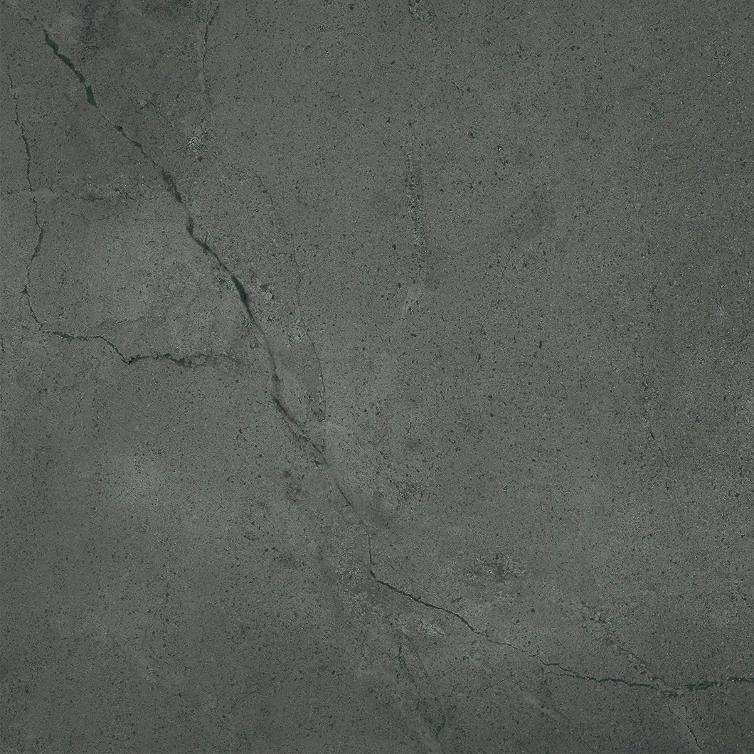 600X600mm on Sale Building Material Rustic Porcelain Tiles (WT2019-6D)