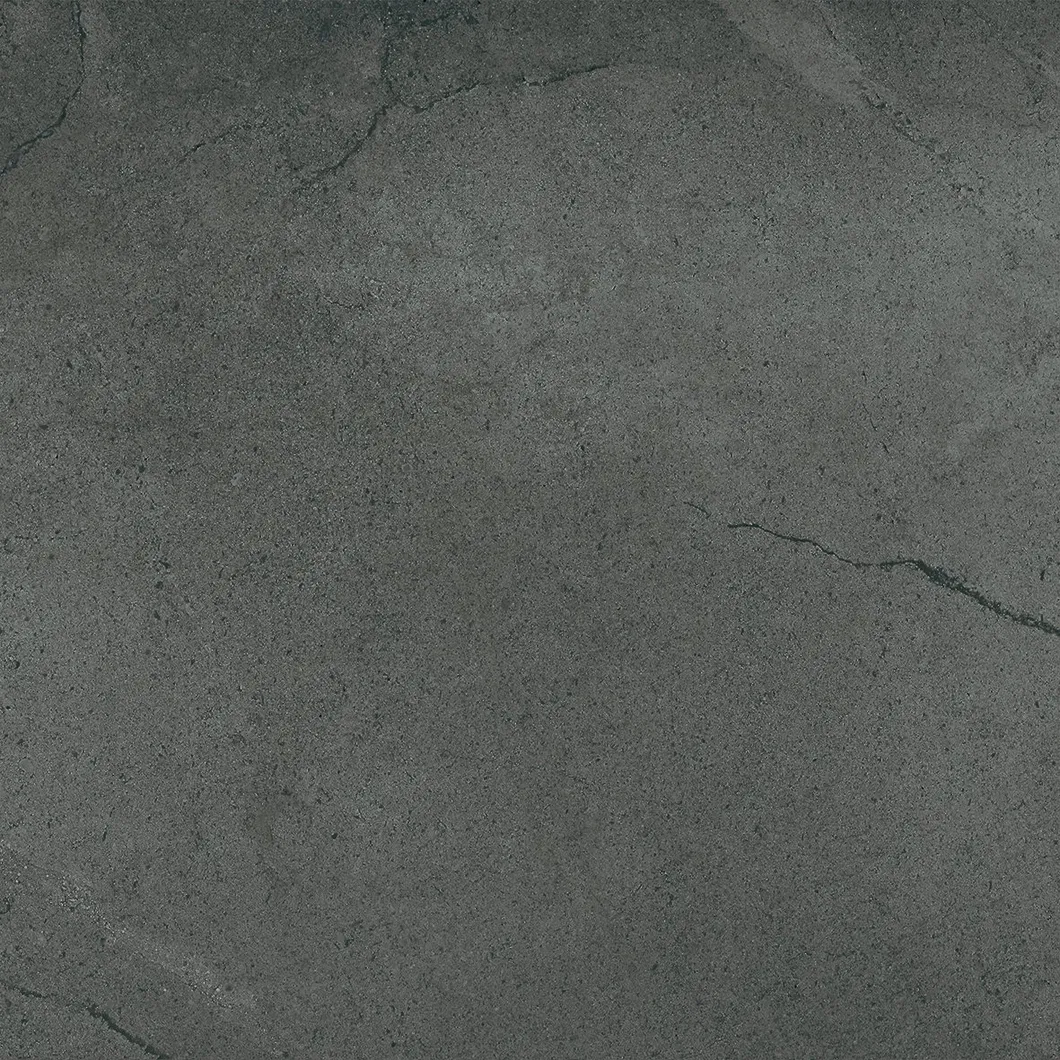 600X600mm on Sale Building Material Rustic Porcelain Tiles (WT2019-6D)