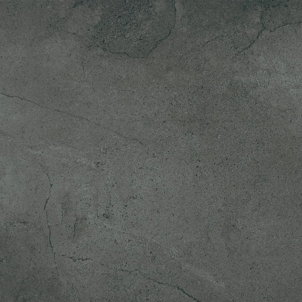 600X600mm on Sale Building Material Rustic Porcelain Tiles (WT2019-6D)