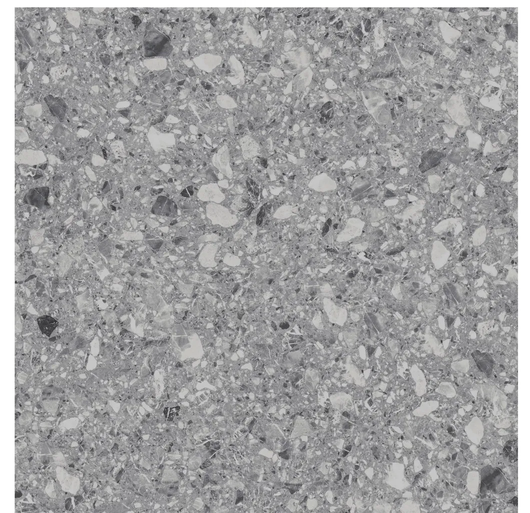 600X600mm on Sale Building Material Rustic Porcelain Tiles (WTZ6603B)