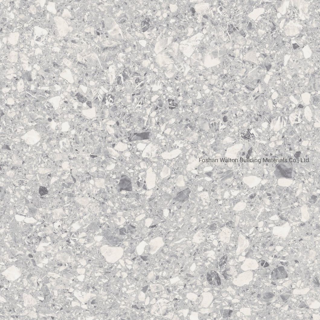 600X600mm on Sale Building Material Stone Tiles Rustic Porcelain Tiles (WT6603A)