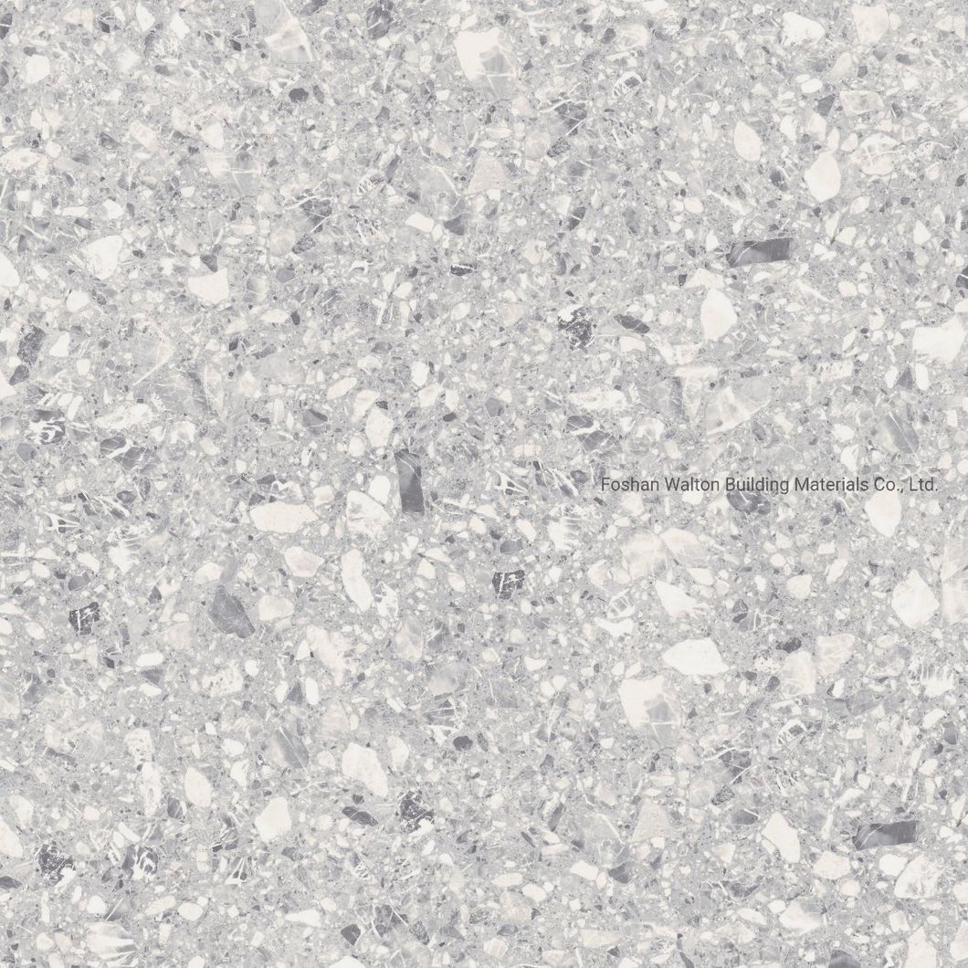 600X600mm on Sale Building Material Stone Tiles Rustic Porcelain Tiles (WT6603A)