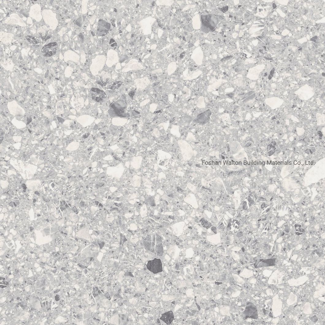 600X600mm on Sale Building Material Stone Tiles Rustic Porcelain Tiles (WT6603A)