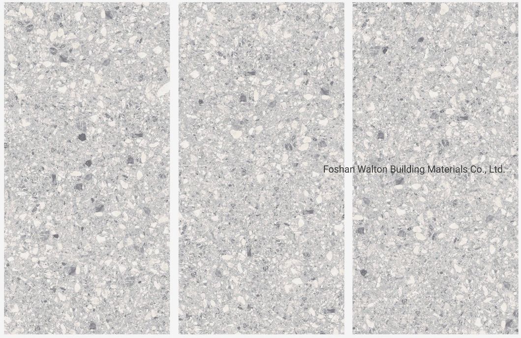 600X600mm on Sale Building Material Stone Tiles Rustic Porcelain Tiles (WT6603A)