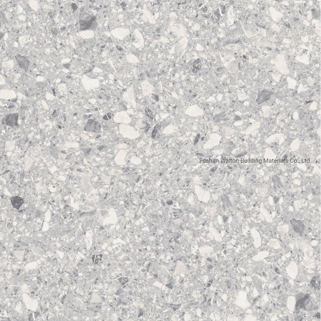 600X600mm on Sale Building Material Stone Tiles Rustic Porcelain Tiles (WT6603A)