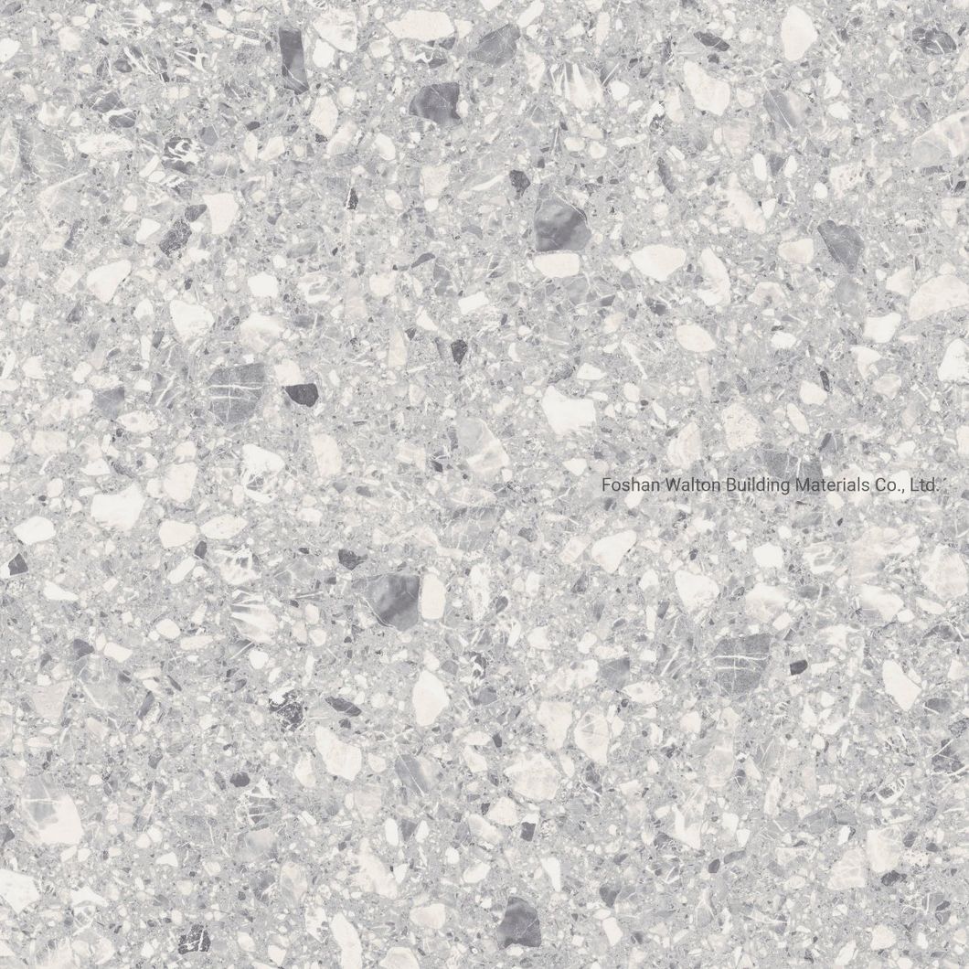 600X600mm on Sale Building Material Stone Tiles Rustic Porcelain Tiles (WT6603A)