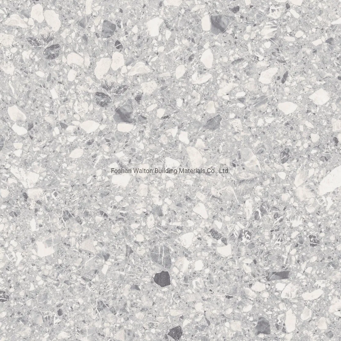 600X600mm on Sale Building Material Stone Tiles Rustic Porcelain Tiles (WT6603A)