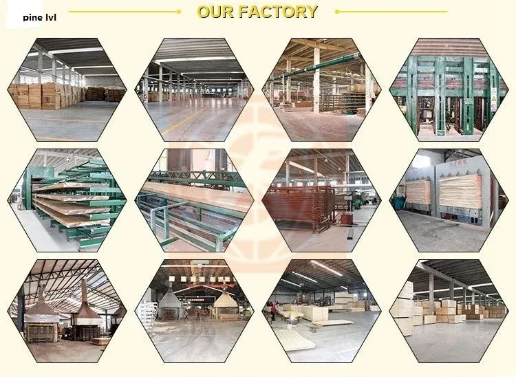 F8 Grade Radiata Pine Scaffold LVL Board for Buliding Constrction