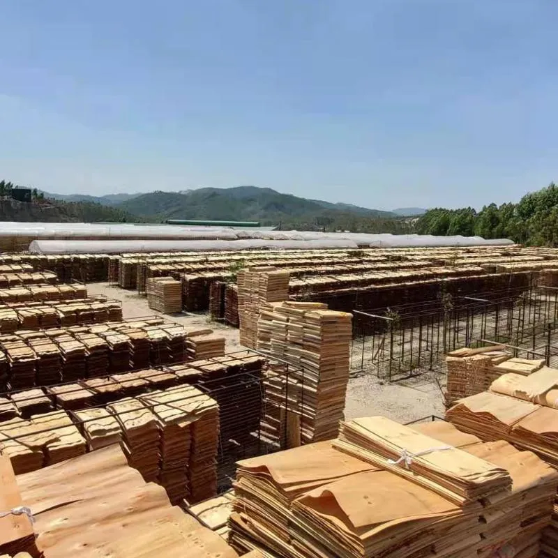 Shuttering/Marine Plywood/Construction Waterproof Film Faced Plywood for Building